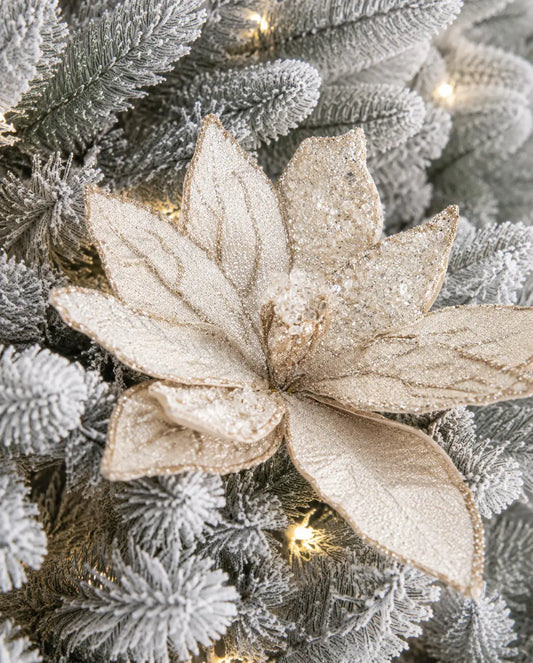 Flor de Nochebuena Champagne con Brillantina