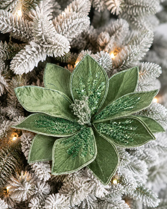Flor de Nochebuena Verde en Terciopelo