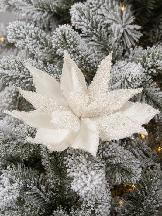 Flor de Nochebuena Blanca con Perlas